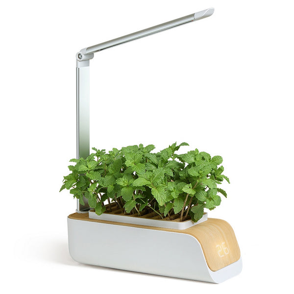 Martoffes™ Smart Indoor Hydroponic Plant Pots