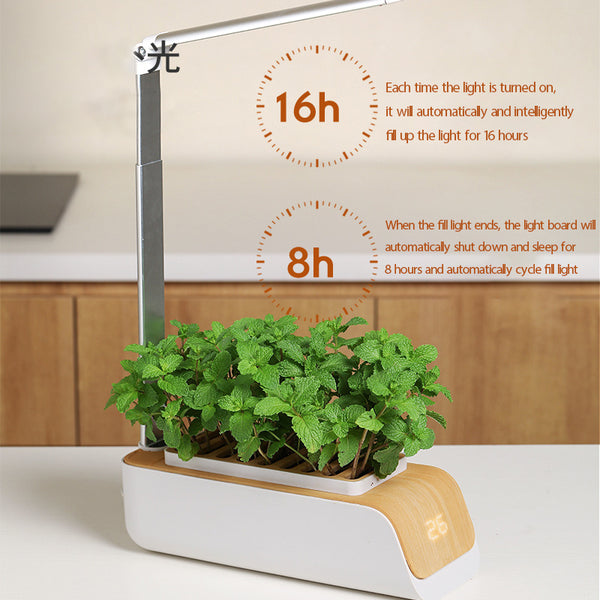 Martoffes™ Smart Indoor Hydroponic Plant Pots